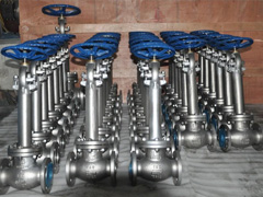 Cryogenic valves Furui